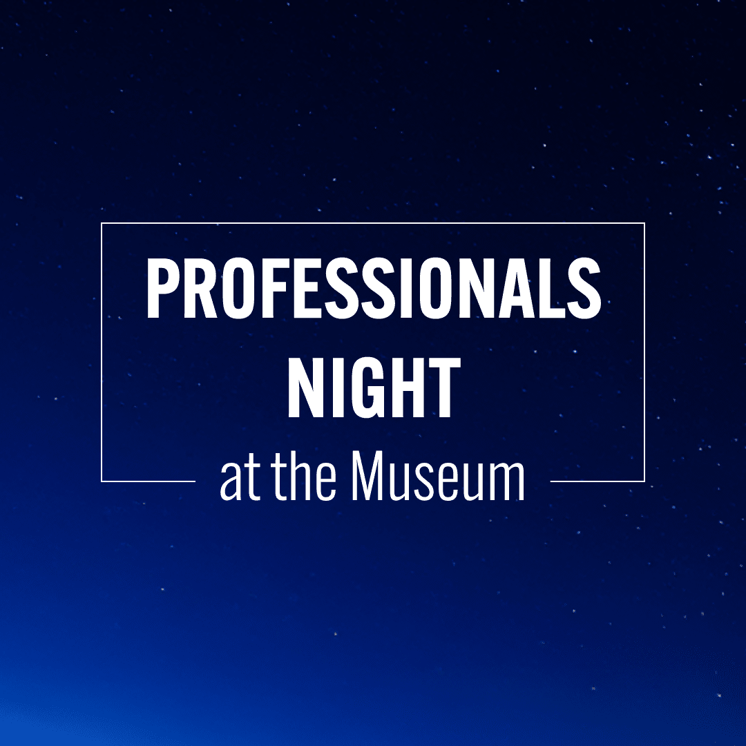 Professionals Night at the Museum