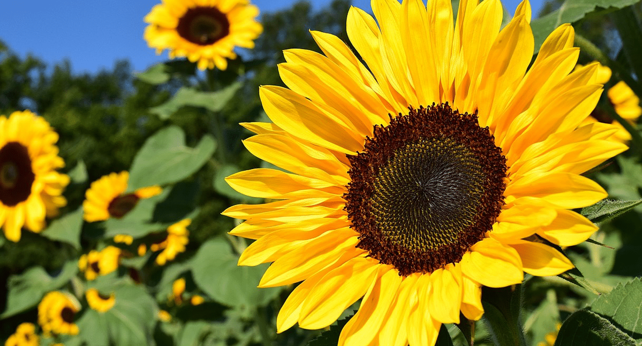 2026 Yom HaShoah Commemoration