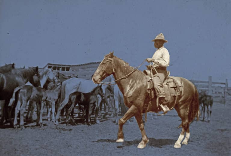 Together We Dine: Black Cowboys
